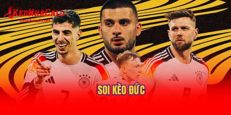 Soi Kèo Đức: Tổng Hợp Thông Tin Mới Tại Kèo Nhà Cái